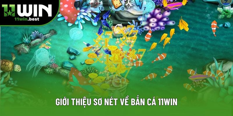 Giới thiệu sơ nét về bắn cá 11win