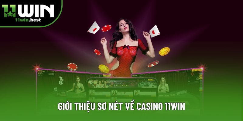 Giới thiệu sơ nét về casino 11win Giới thiệu sơ nét về casino 11win