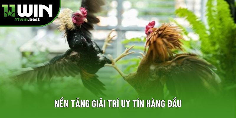 Nền tảng giải trí uy tín hàng đầu