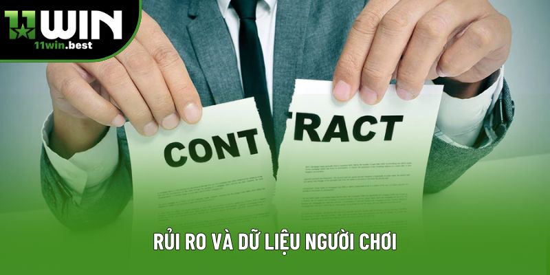 Rủi ro và dữ liệu người chơi