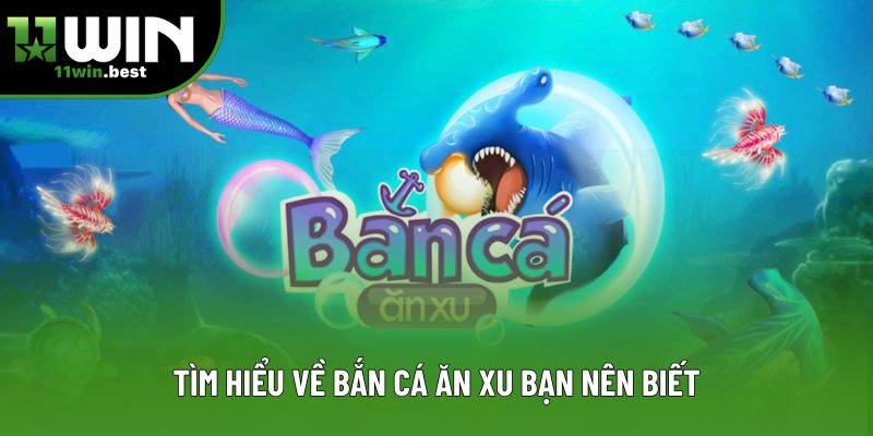 Tìm hiểu về bắn cá ăn xu bạn nên biết Tìm hiểu về bắn cá ăn xu bạn nên biết