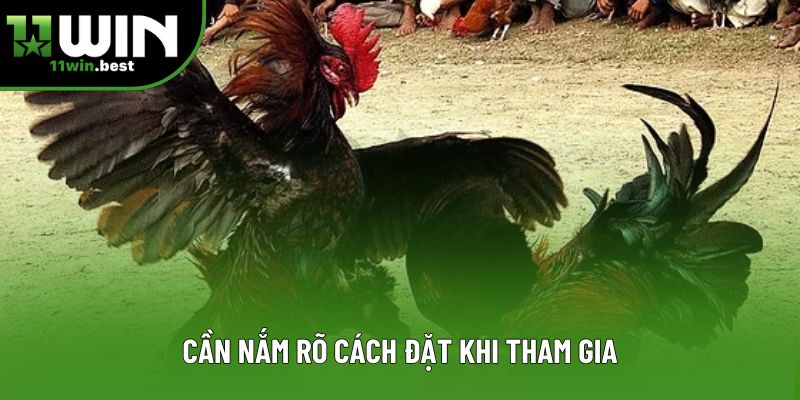 Cần nắm rõ cách đặt khi tham gia