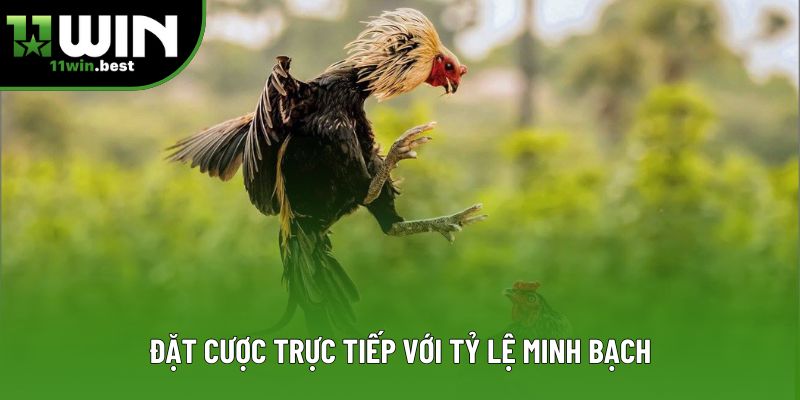 Đặt cược trực tiếp với tỷ lệ minh bạch Đặt cược trực tiếp với tỷ lệ minh bạch