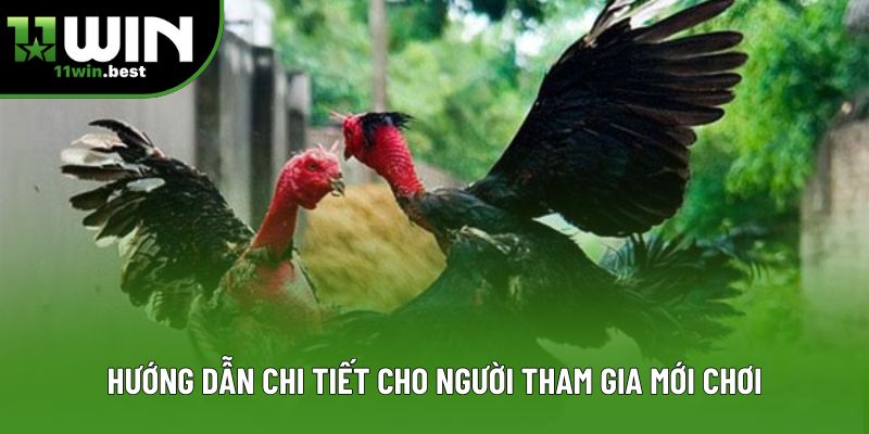 Hướng dẫn chi tiết cho người tham gia mới chơi