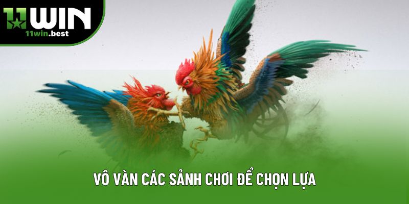 Vô vàn các sảnh chơi để chọn lựa Vô vàn các sảnh chơi để chọn lựa